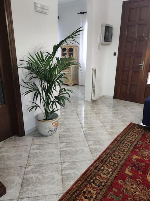 Vila Casa Argia Padova Exteriér fotografie