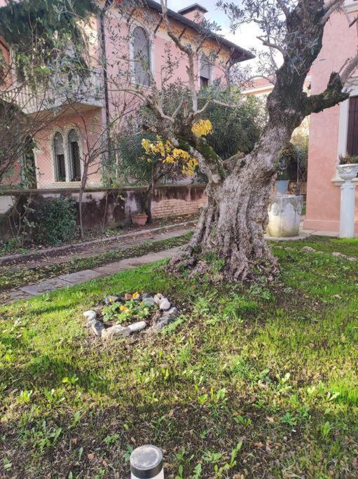 Vila Casa Argia Padova Exteriér fotografie